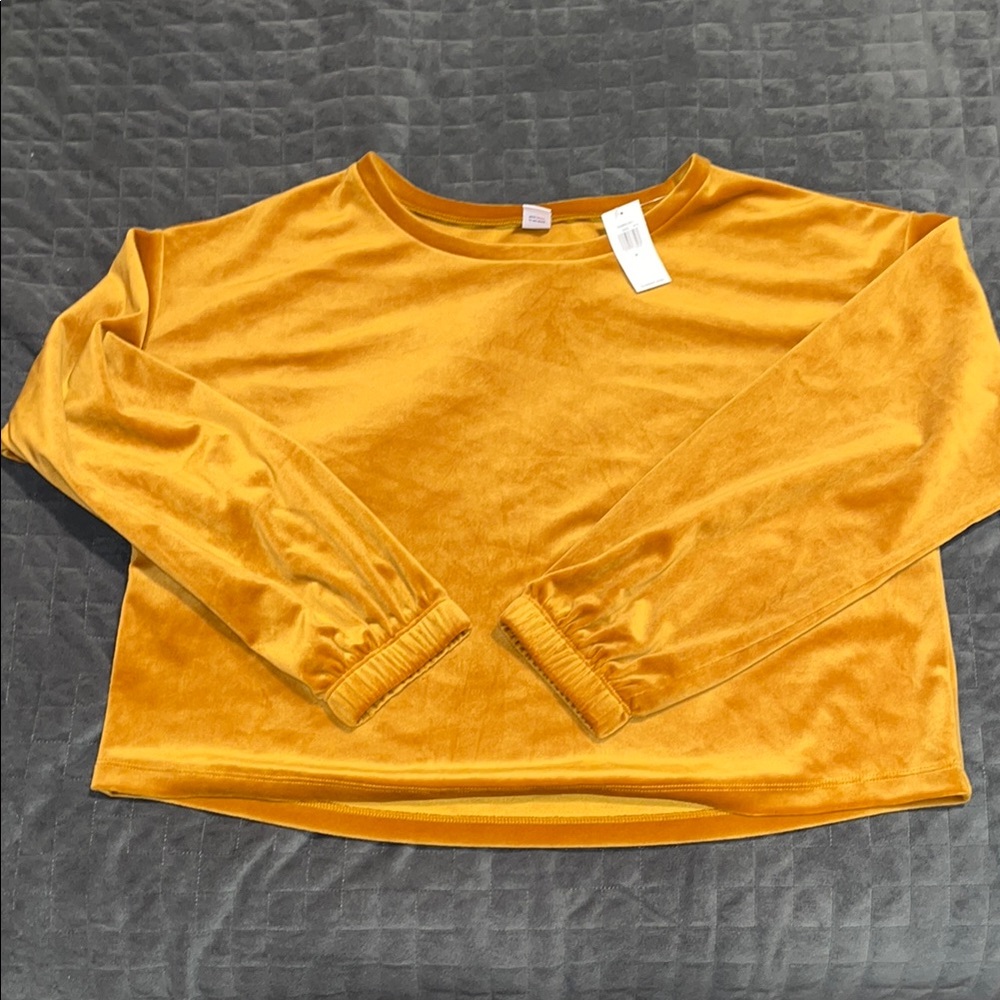 Golden Long Sleeve Velvety Top